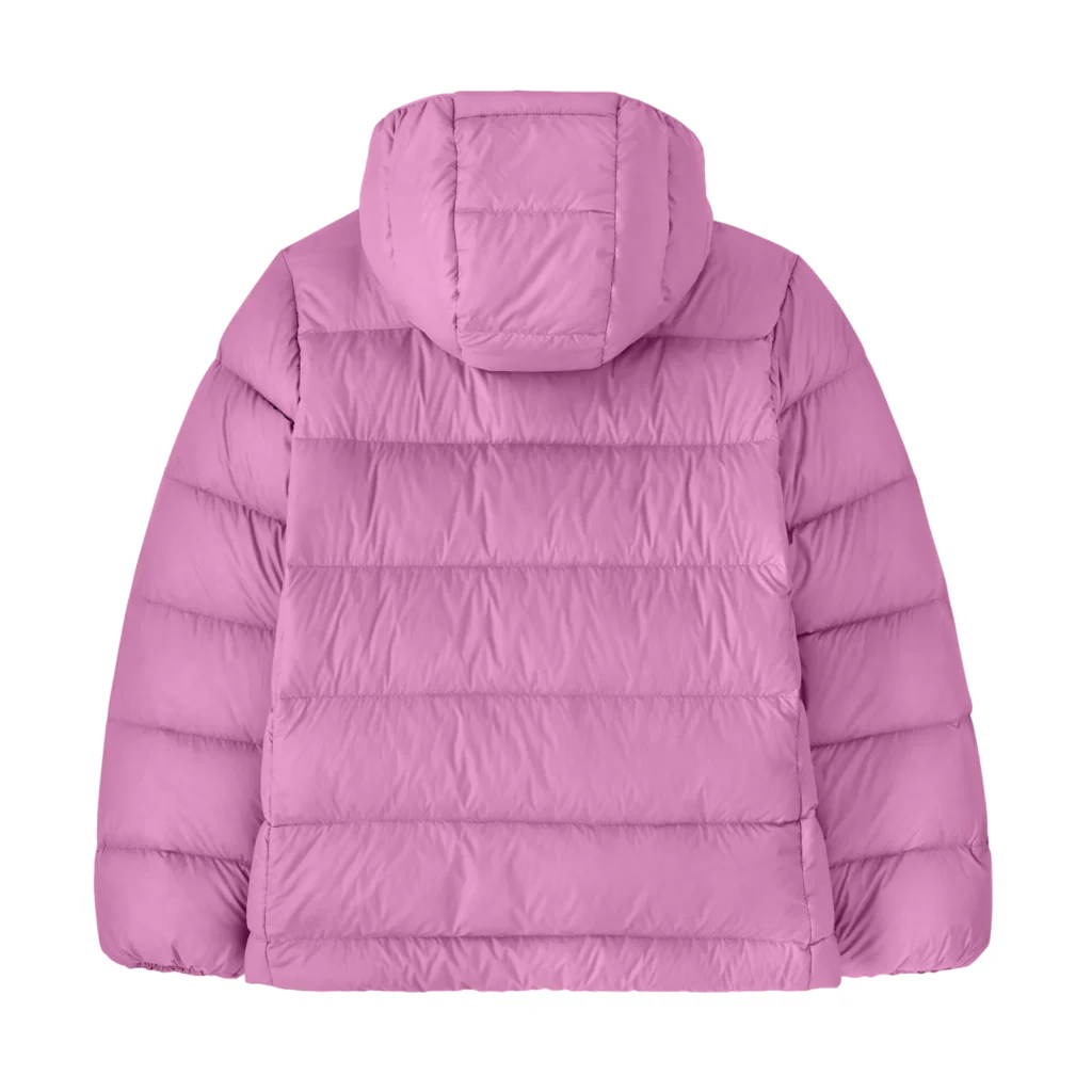 Patagonia Junior's Hi-Loft Down Sweater Hoodie - Image 2