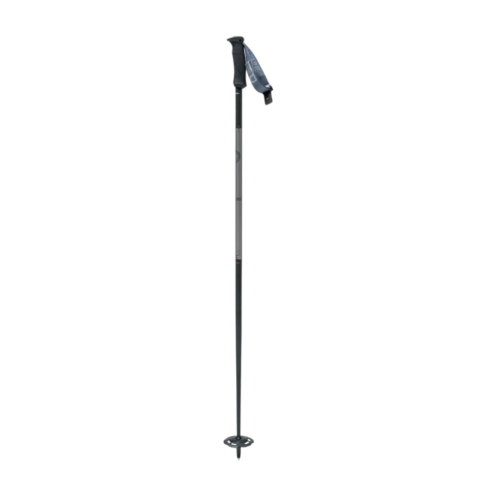 Swix Plus Line Ski Poles