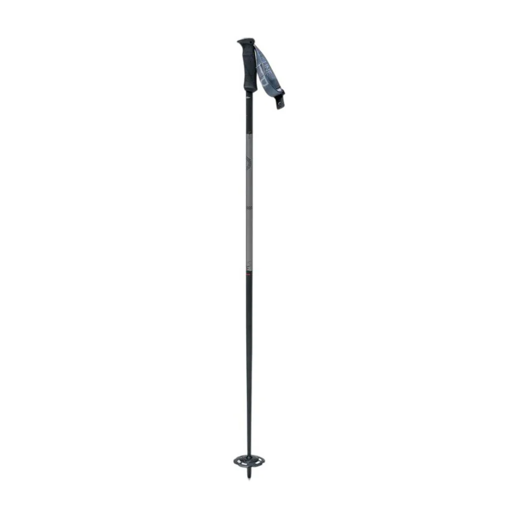 Swix Plus Line Ski Poles - Image 2
